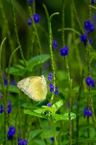 img_6986.jpeg