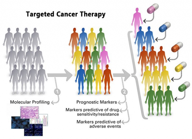 targeted-therapy-for-cancer.jpg